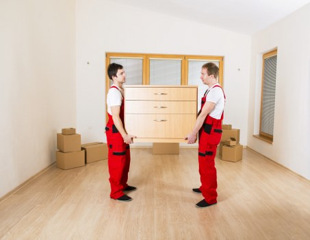 Professional packing and labeled office boxes during relocation